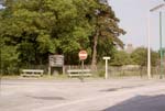 Dog Acre 1966